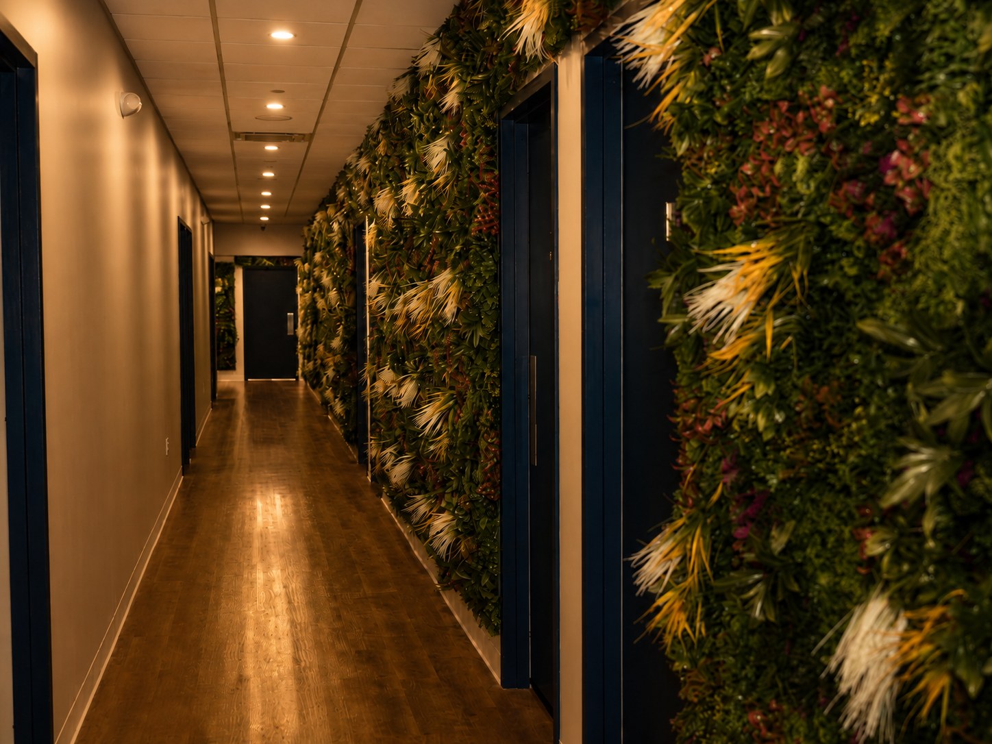 Plant wall hallway in warm amber light