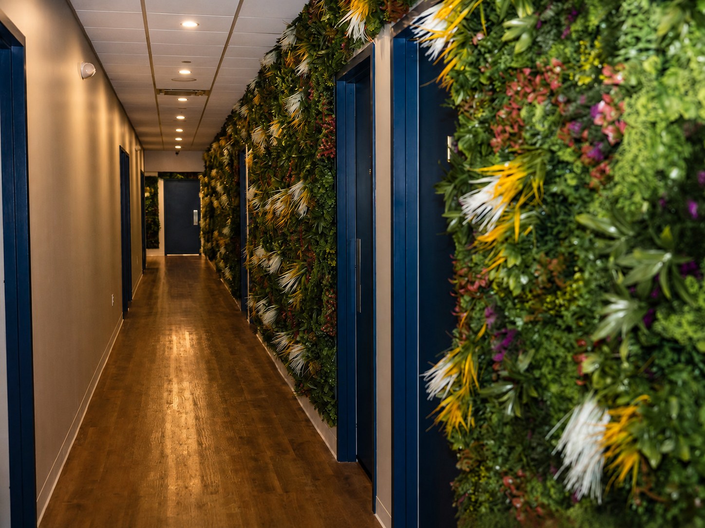 Plant-lined hallway with navy doors