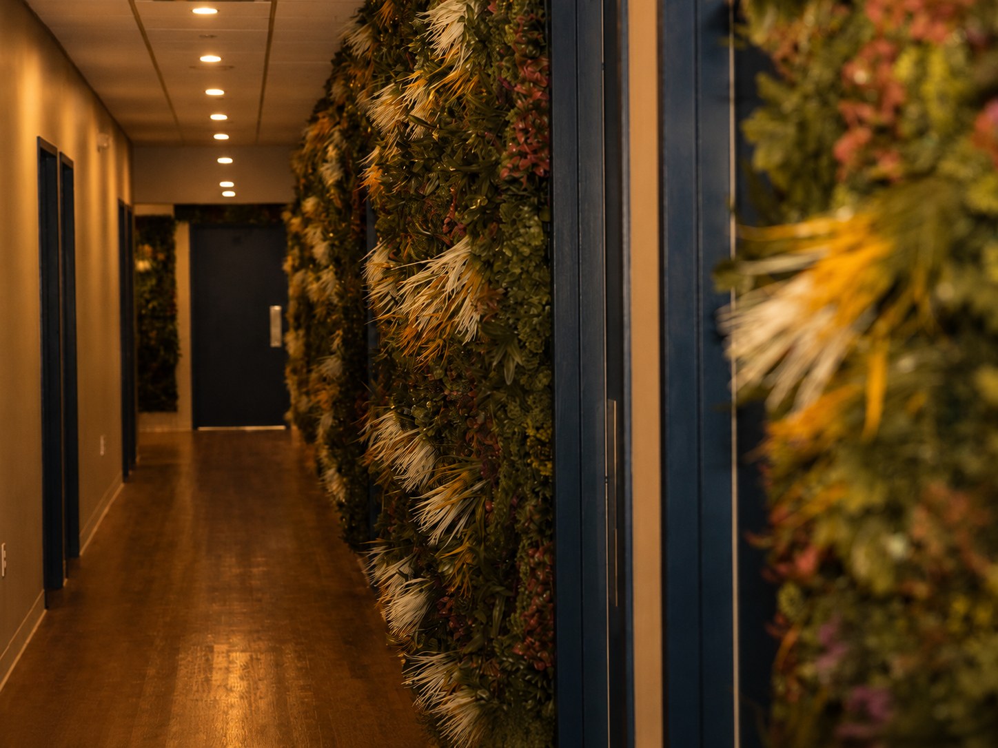Studio plant wall in soft focus
